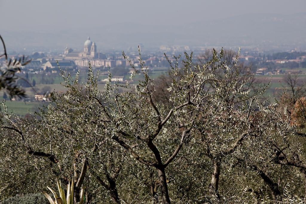 Villa Rosy Assisi Exterior photo